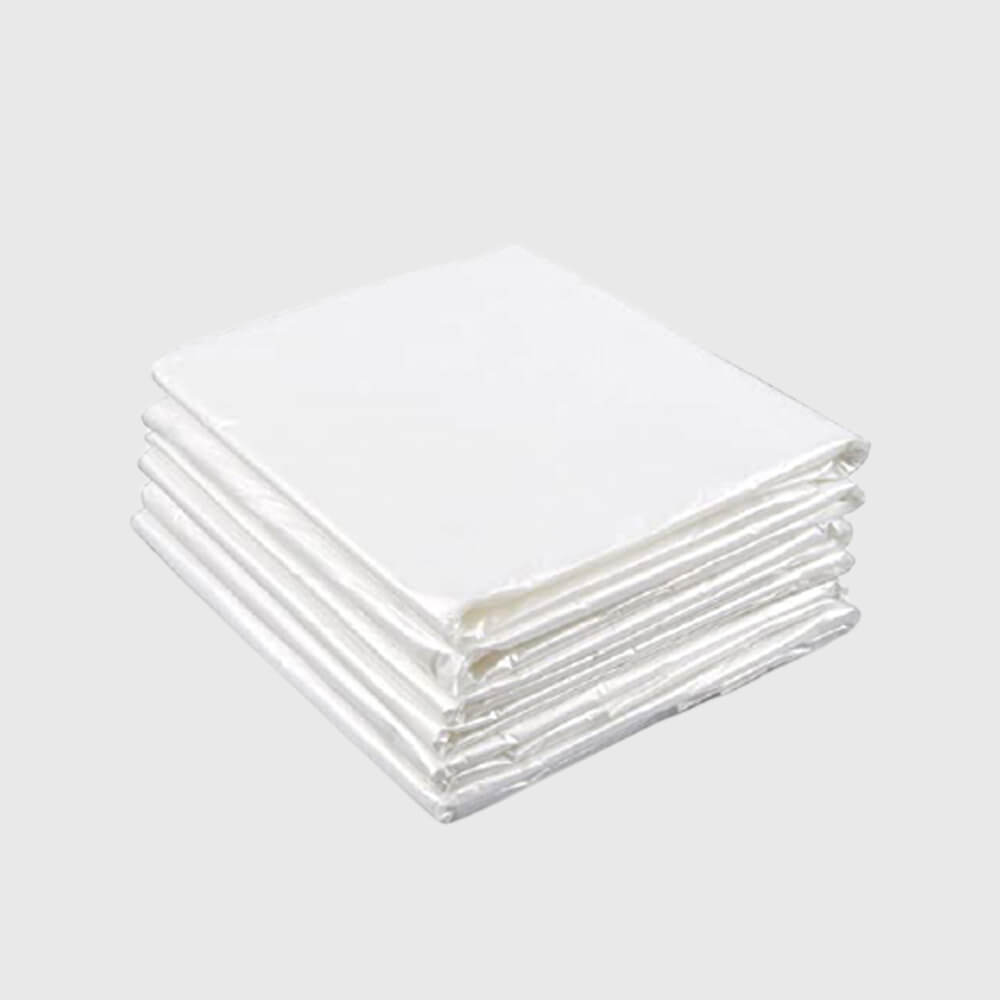 Caelum Star Premium Plastic Dust Sheets 5(1)